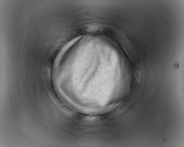 X0000115300375200911161703