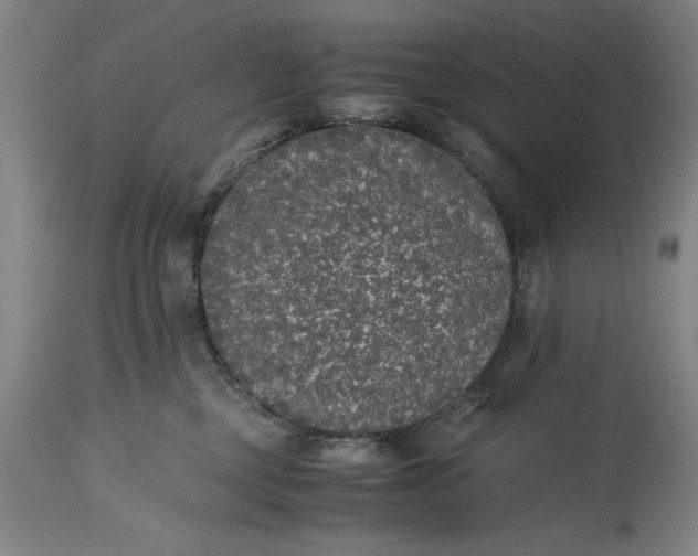 X0000115300377200911161703