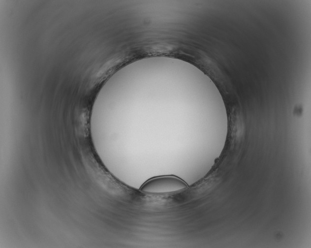 X0000115300378200911161703