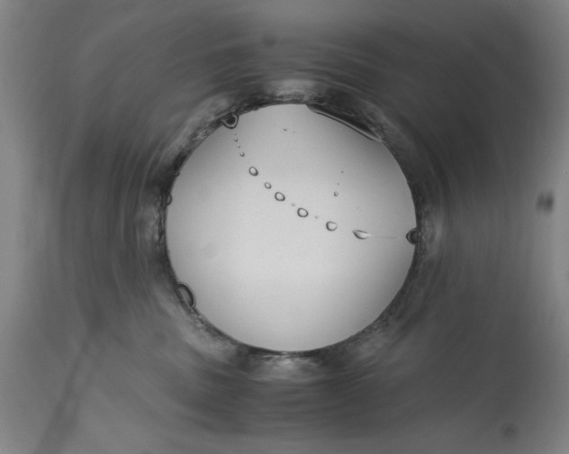 X0000115300379200911161703