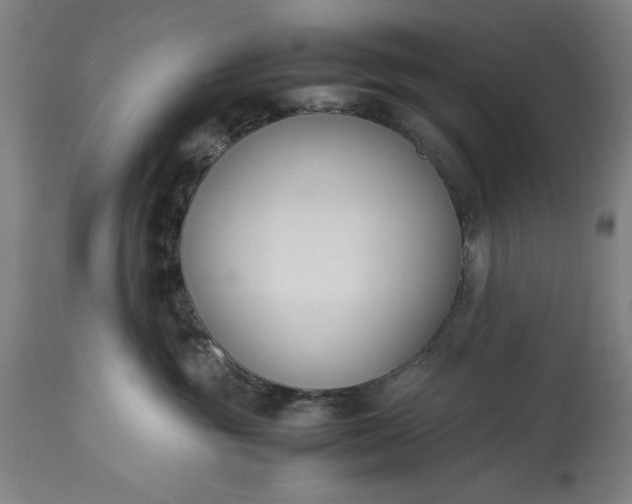 X0000115300381200911161703