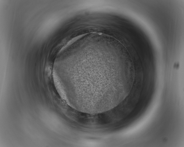 X0000115300382200911161703