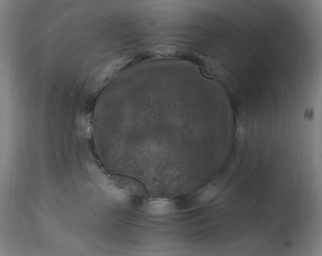 X0000115300383200911161703