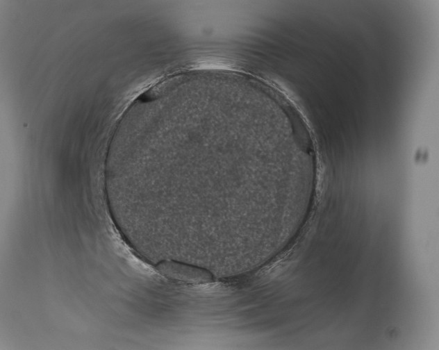 X0000115300385200911161703