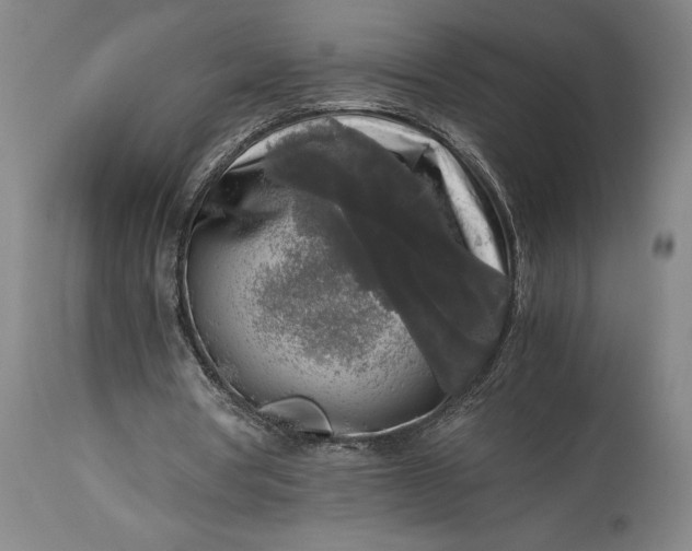 X0000115300386200911161703