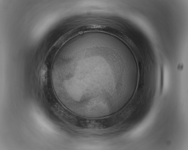 X0000115300387200911161703