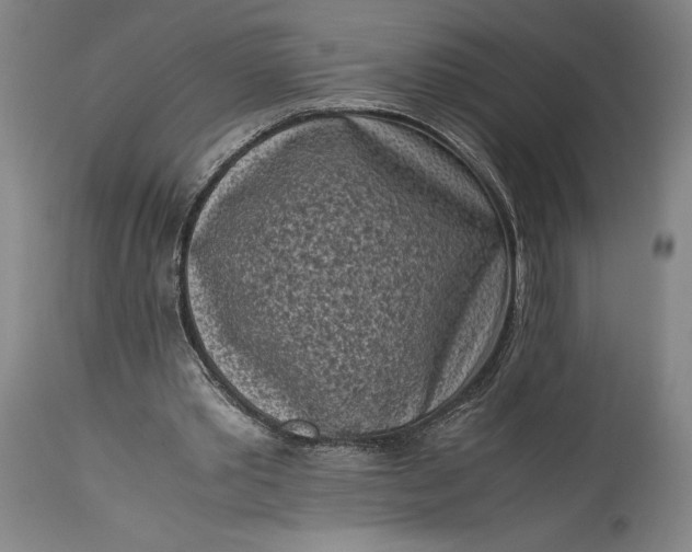 X0000115300389200911161702