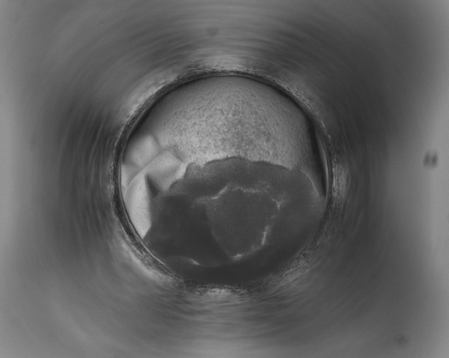 X0000115300390200911161702