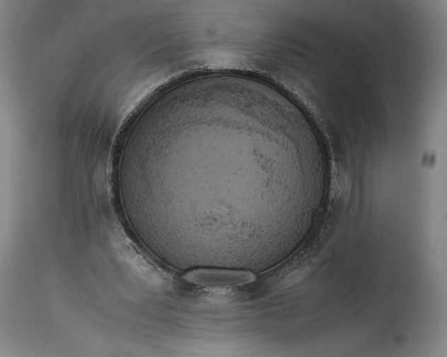 X0000115300391200911161702