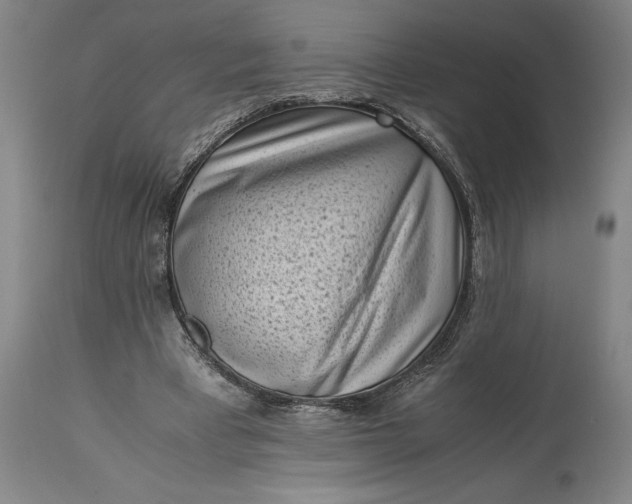 X0000115300393200911161702