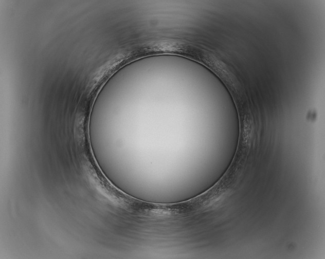 X0000115300394200911161702