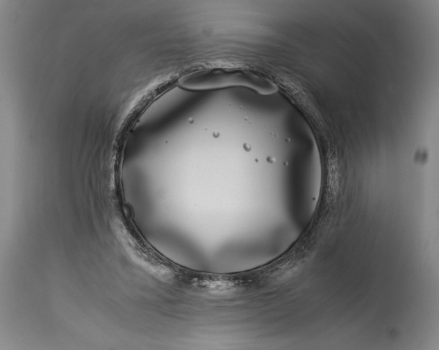 X0000115300395200911161702