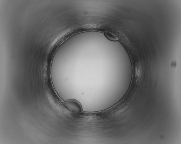 X0000115300396200911161702