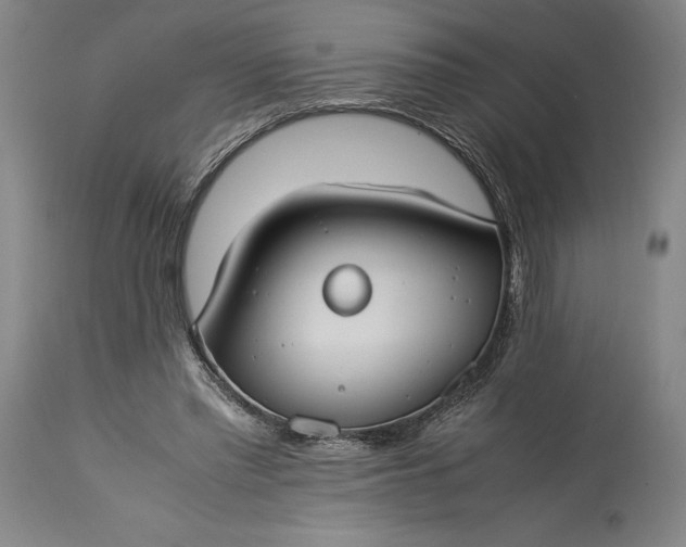 X0000115300397200911161702