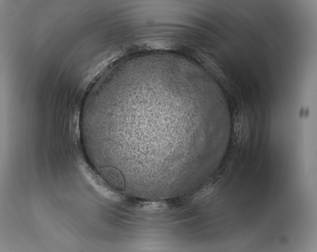 X0000115300398200911161702