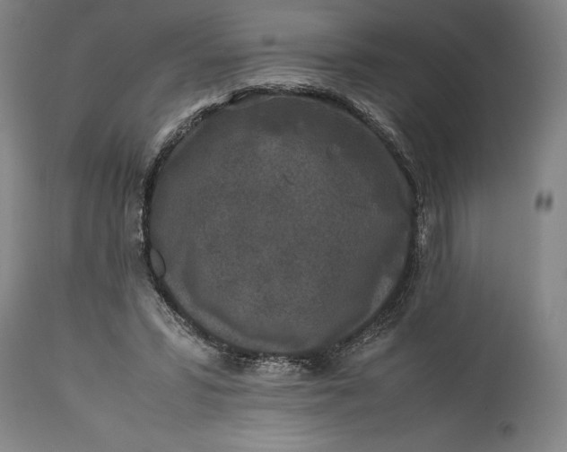 X0000115300399200911161702