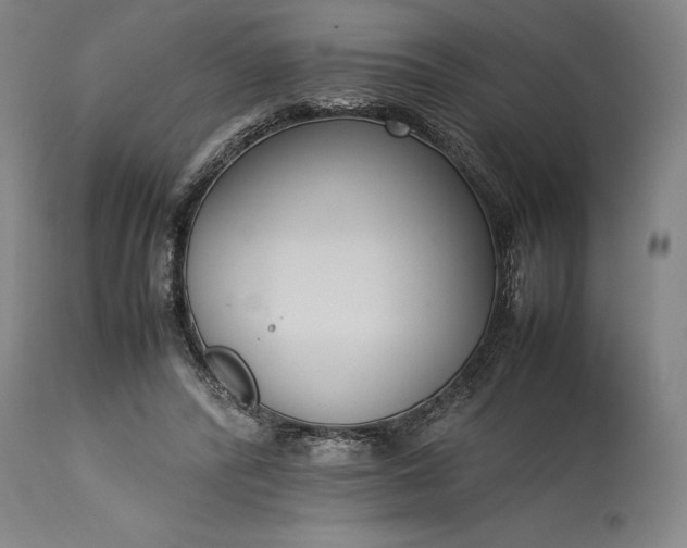 X0000115300400200911161702