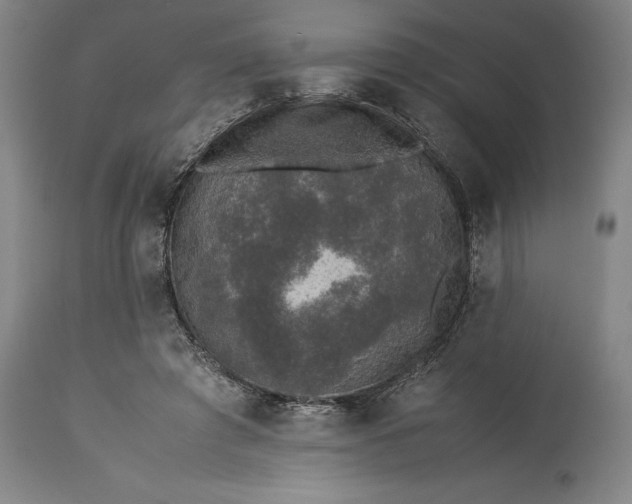 X0000115300401200911161702