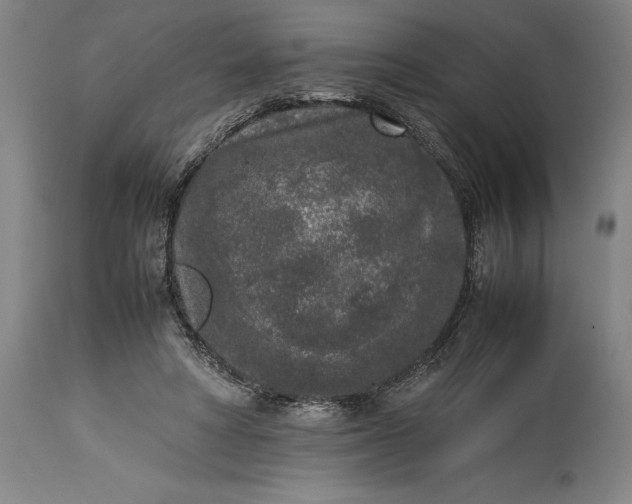 X0000115300402200911161702