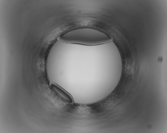 X0000115300403200911161702