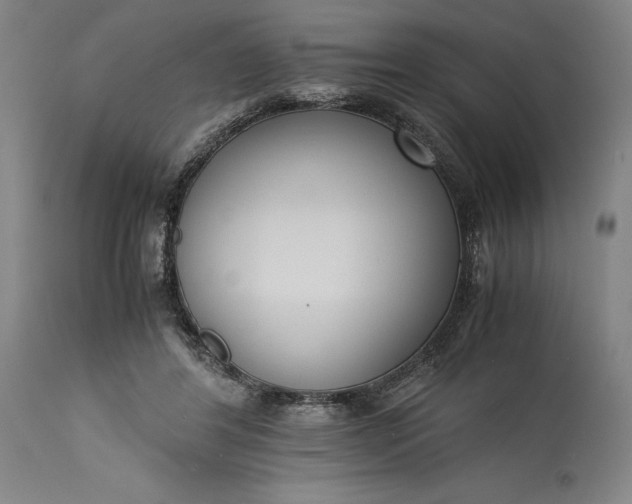 X0000115300404200911161702