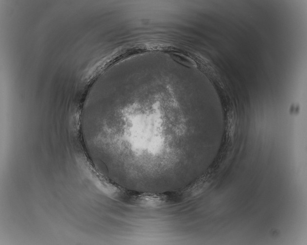 X0000115300405200911161702