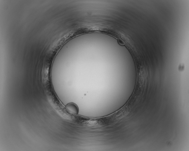 X0000115300406200911161702