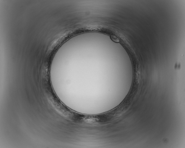 X0000115300407200911161702