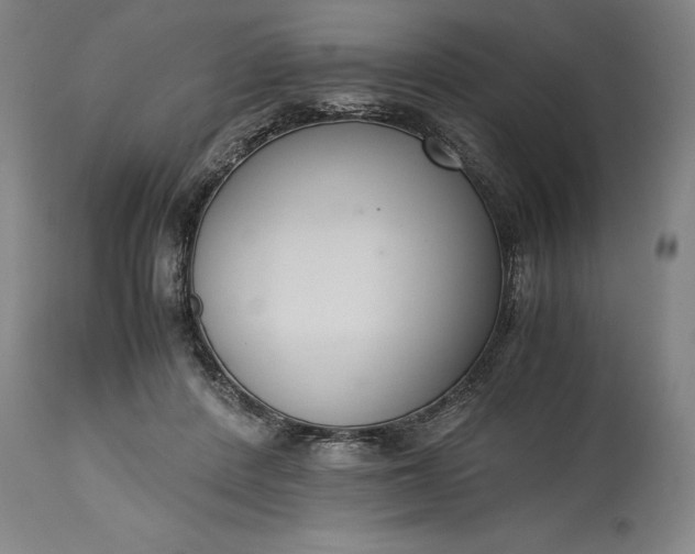 X0000115300408200911161702