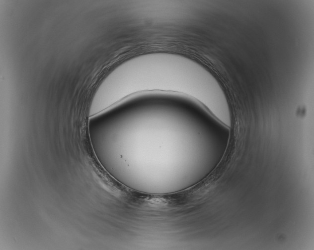 X0000115300409200911161702