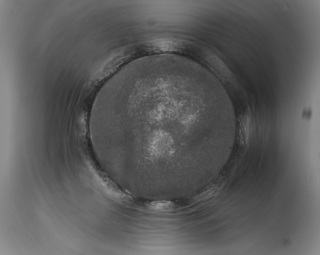 X0000115300410200911161702