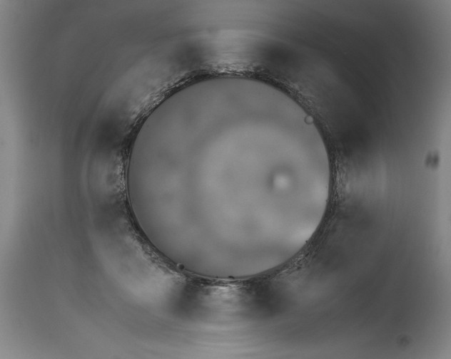 X0000115300411200911161702