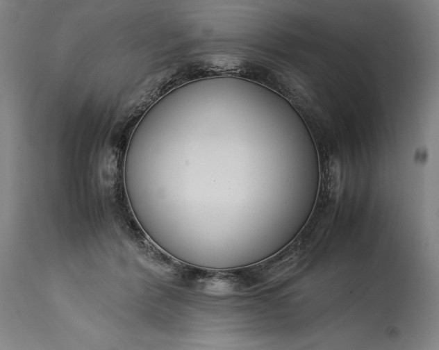 X0000115300412200911161702