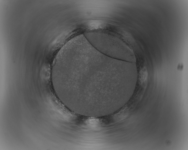 X0000115300413200911161702