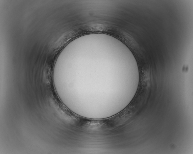 X0000115300414200911161702