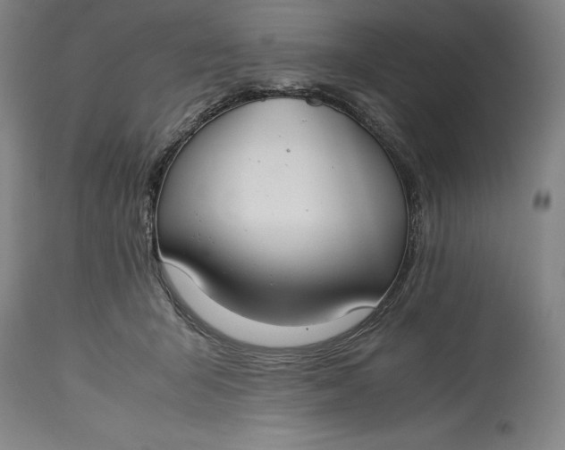 X0000115300415200911161702