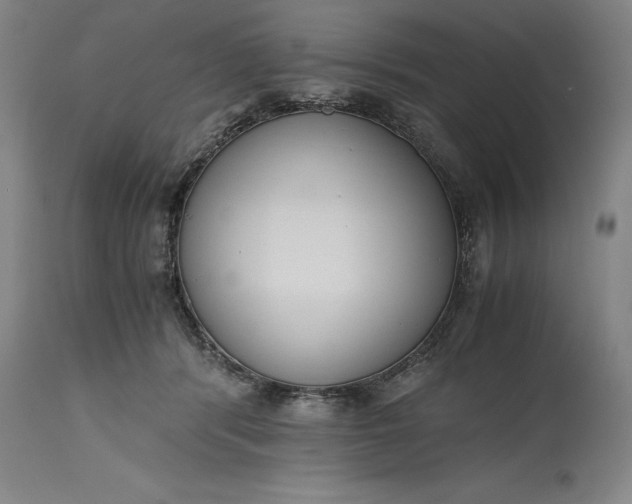 X0000115300416200911161702