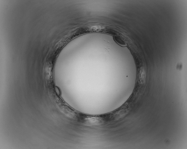 X0000115300417200911161702