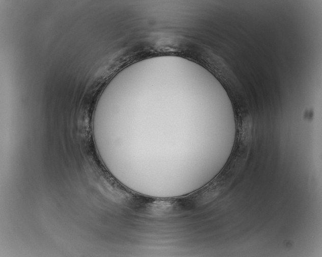 X0000115300418200911161702