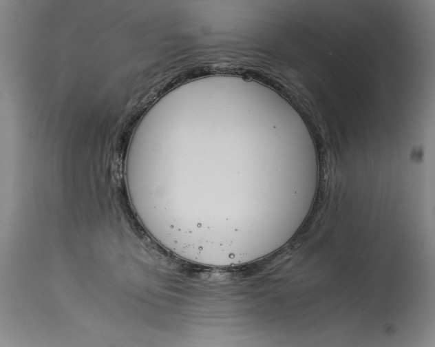 X0000115300419200911161702