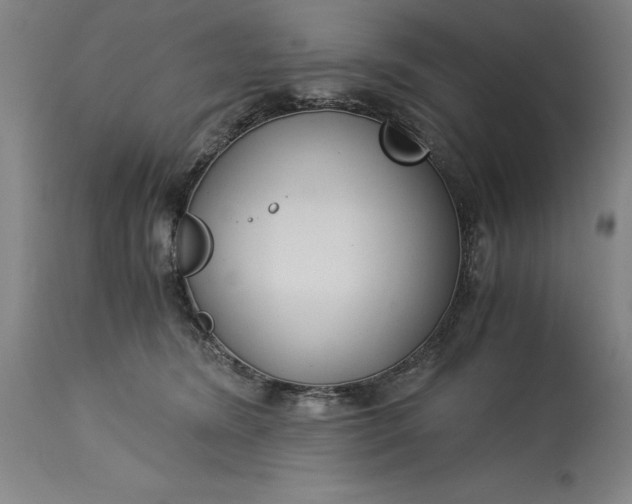 X0000115300420200911161702