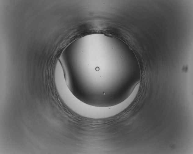 X0000115300421200911161702