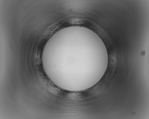 X0000115300422200911161702