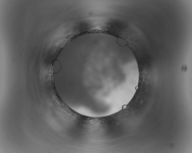 X0000115300423200911161702