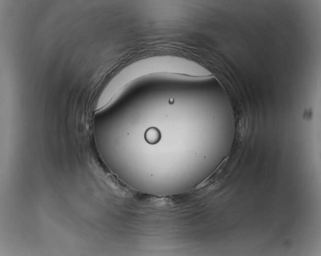 X0000115300424200911161702