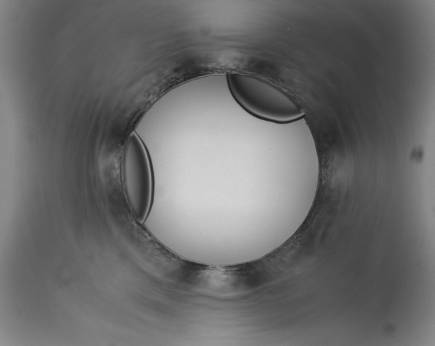 X0000115300425200911161702