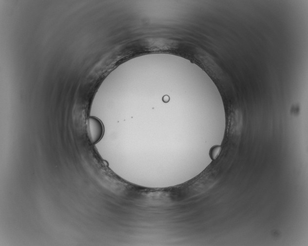 X0000115300426200911161702