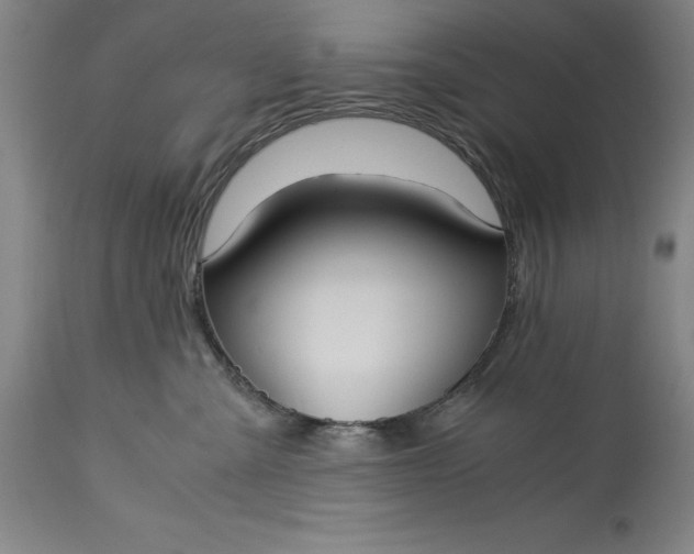 X0000115300427200911161702