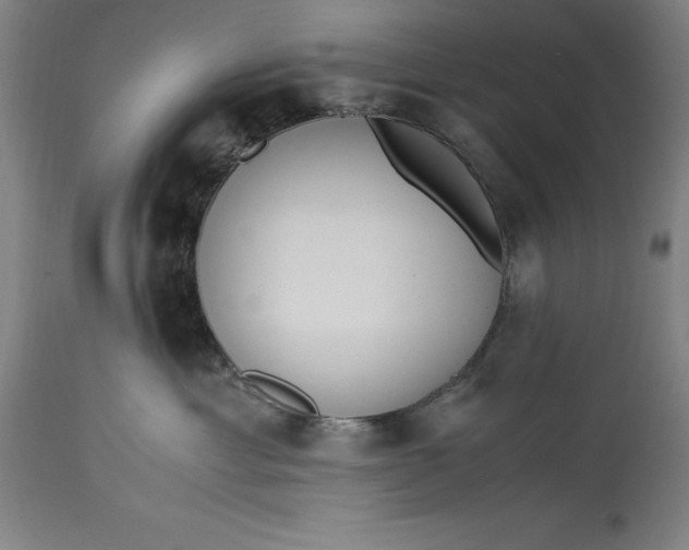 X0000115300429200911161702