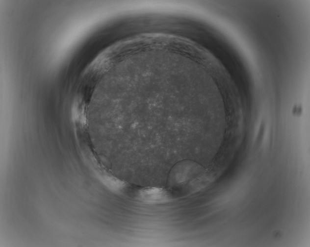 X0000115300431200911161702